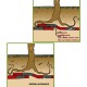 ANTI ROOT